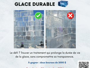 Le Grand défi de Bonhomme : Glace durable